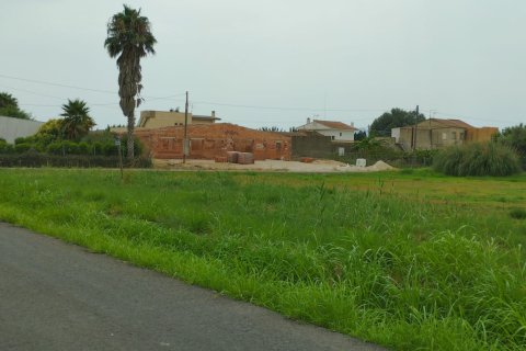 Land plot for sale in Deltebre, Tarragona, Spain 1987 sq.m. No. 193553 - photo 6