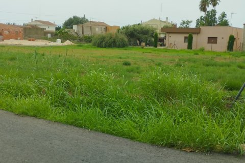 Land plot for sale in Deltebre, Tarragona, Spain 1987 sq.m. No. 193553 - photo 5