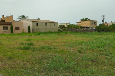 Land plot in Deltebre, Tarragona, Spain 1987 sq.m. No. 193553
