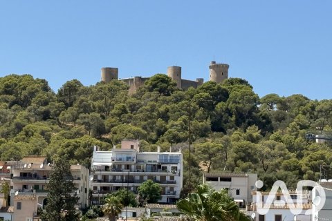 Wohnung zum Verkauf in Palma de Majorca, Mallorca, Spanien 1 Schlafzimmer, 78 m2 Nr. 193550 - Foto 13