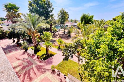 Продажа дома в Эльче, Аликанте, Испания 3 спальни, 140м2 №152846 - фото 11