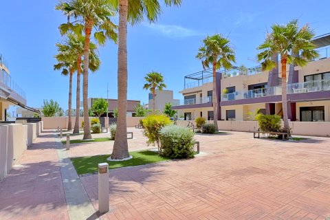 Penthouse w Torre de la Horadada, Alicante, Hiszpania 3 sypialnie, 108 mkw. nr 168244 – zdjęcie 4