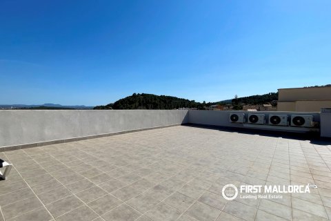 Appartamento in affitto a Selva, Mallorca, Spagna 4 camere da letto, 220 mq. N° 168247 - foto 17