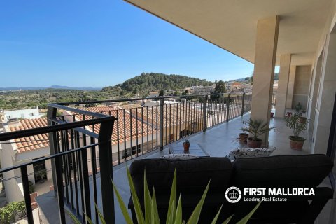 Appartamento in affitto a Selva, Mallorca, Spagna 4 camere da letto, 220 mq. N° 168247 - foto 3