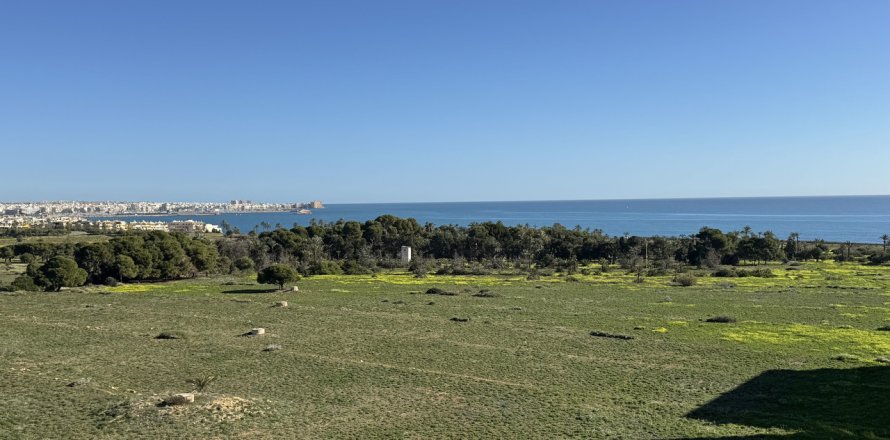 Apartment à Punta Prima, Alicante, Espagne 2 chambres, 70 m2 No. 151780