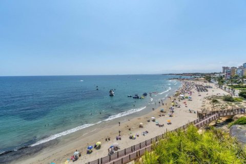 Apartament Dehesa De Campoamor, Alicante, Hiszpania 3 sypialnie, 100 mkw. nr 140003 – zdjęcie 22
