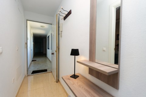 Huoneisto myytävänä Dehesa De Campoamor, Alicante, Espanja, 2 makuuhuonetta, 65 m2 No. 189395 - kuva 7