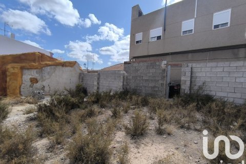 Land plot à vendre à Crevillent, Alicante, Espagne, 334 m2 No. 185693 - photo 2