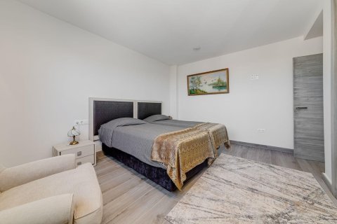 Продажа виллы в Торревьеха, Аликанте, Испания 461м2 №165838 - фото 18