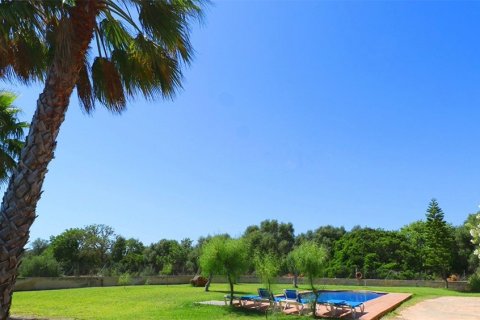 Villa à vendre à Campos, Mallorca, Espagne, 3 chambres, 180 m2 No. 148073 - photo 5
