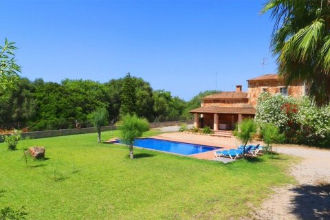 Villa à vendre à Campos, Mallorca, Espagne, 3 chambres, 180 m2 No. 148073 - photo 4