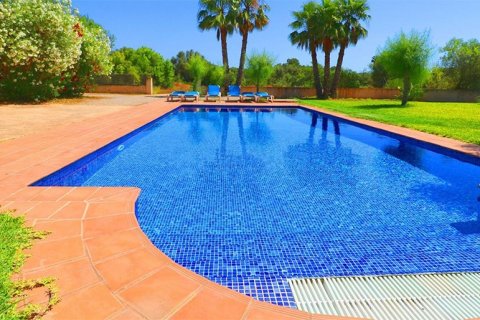 Villa à vendre à Campos, Mallorca, Espagne, 3 chambres, 180 m2 No. 148073 - photo 24