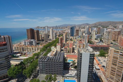 Продажа квартиры в Бенидорм, Аликанте, Испания 5 спален, 412м2 №118841 - фото 18
