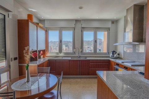 Продажа квартиры в Бенидорм, Аликанте, Испания 5 спален, 412м2 №118841 - фото 17