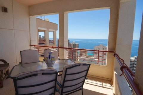 Продажа квартиры в Бенидорм, Аликанте, Испания 5 спален, 412м2 №118841 - фото 14