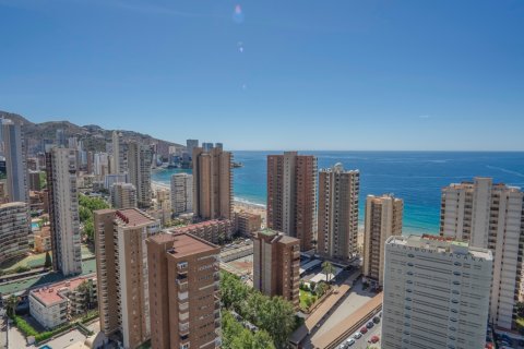Продажа квартиры в Бенидорм, Аликанте, Испания 5 спален, 412м2 №118841 - фото 2