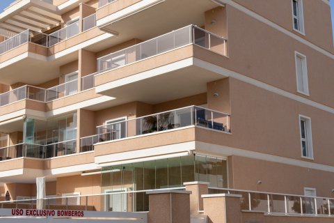 Apartament Villamartin, Alicante, Hiszpania 3 sypialnie, 102 mkw. nr 114768 – zdjęcie 28