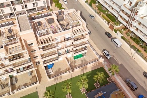 Apartament Villamartin, Alicante, Hiszpania 3 sypialnie, 102 mkw. nr 114768 – zdjęcie 29