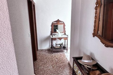 Kattohuoneisto myytävänä La Mata, Alicante, Espanja, 4 makuuhuonetta, 138 m2 No. 116854 - kuva 3