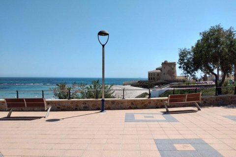 Villa for sale Torre de la Horadada, Alicante, Spain 3 bedrooms, 211 sq.m. No. 116839 - photo 22