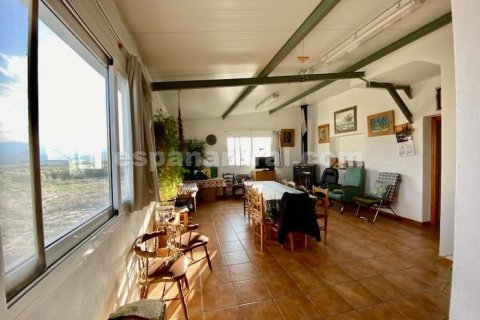 Продажа дома в Эль Ихате, Альмерия, Испания 6 спален, 295м2 №183995 - фото 3