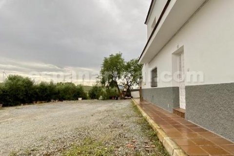 Продажа дома в Эль Ихате, Альмерия, Испания 6 спален, 295м2 №183995 - фото 18