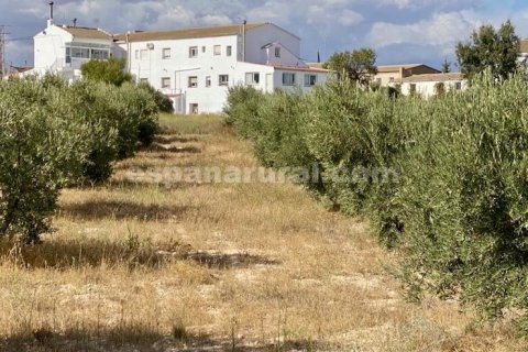 Продажа дома в Эль Ихате, Альмерия, Испания 6 спален, 295м2 №183995 - фото 14
