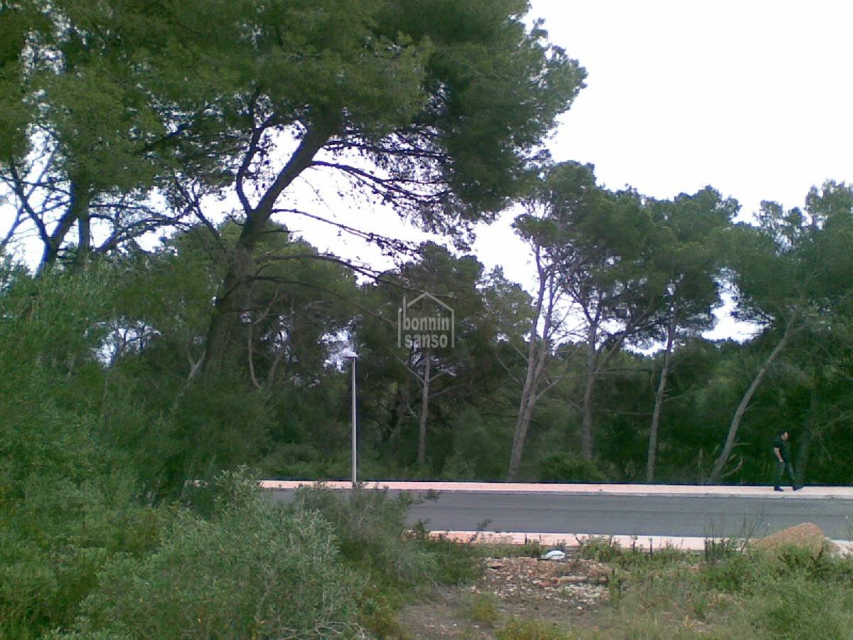 Zemes gabals Es Mercadal, Menorca, Spānijā 4 istabas,  Nr. 65360