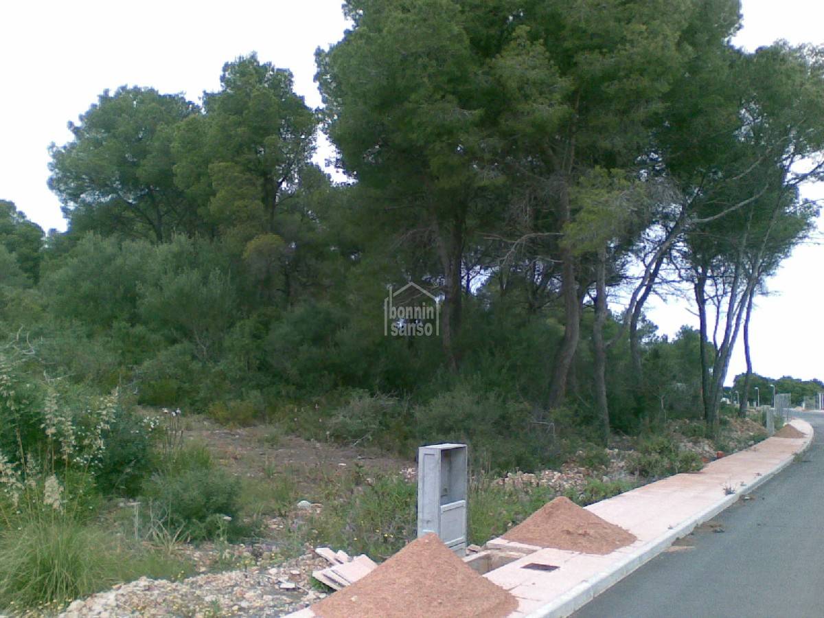 Zemes gabals Es Mercadal, Menorca, Spānijā 4 istabas,  Nr. 65360