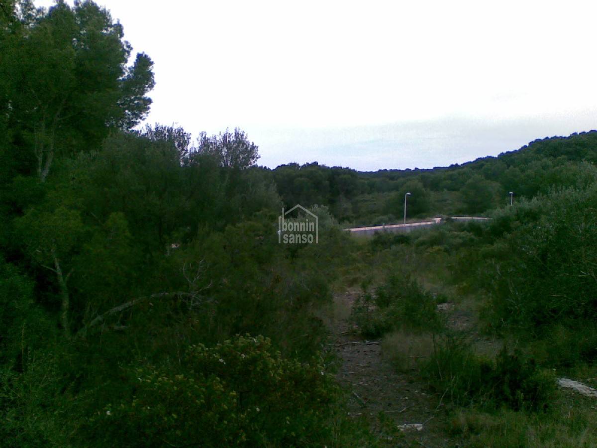 Zemes gabals Es Mercadal, Menorca, Spānijā 4 istabas,  Nr. 65360