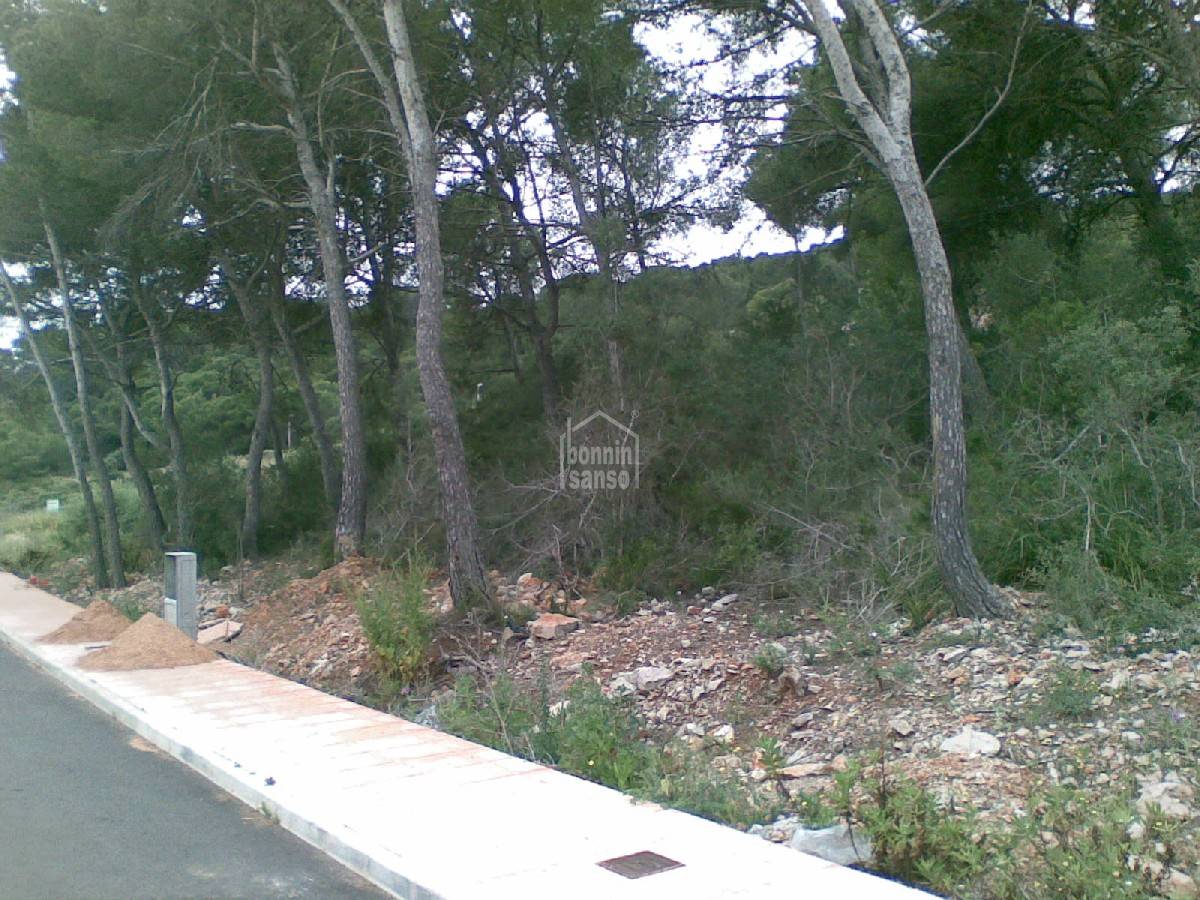 Zemes gabals Es Mercadal, Menorca, Spānijā 4 istabas,  Nr. 65360