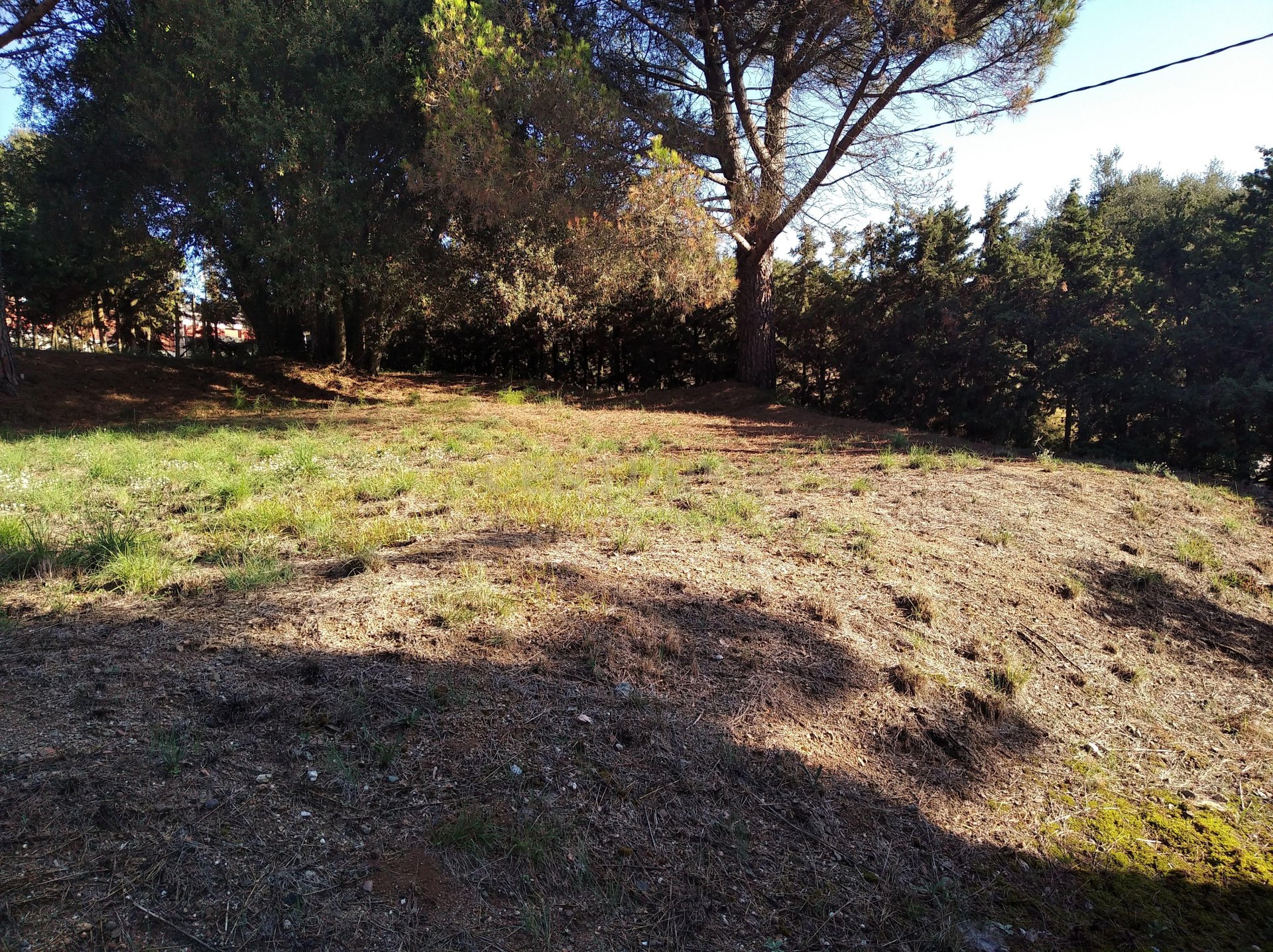 Land plot à Sant Antoni de Vilamajor, Barcelona, Espagne No. 167171