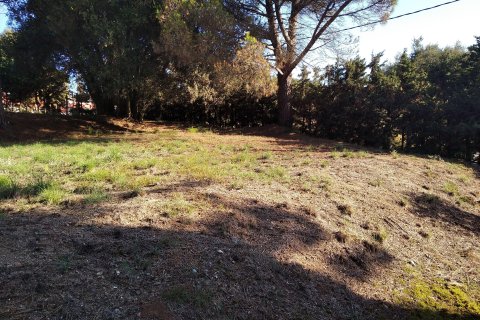 Land plot for sale in Sant Antoni de Vilamajor, Barcelona, Spain No. 167171 - photo 16
