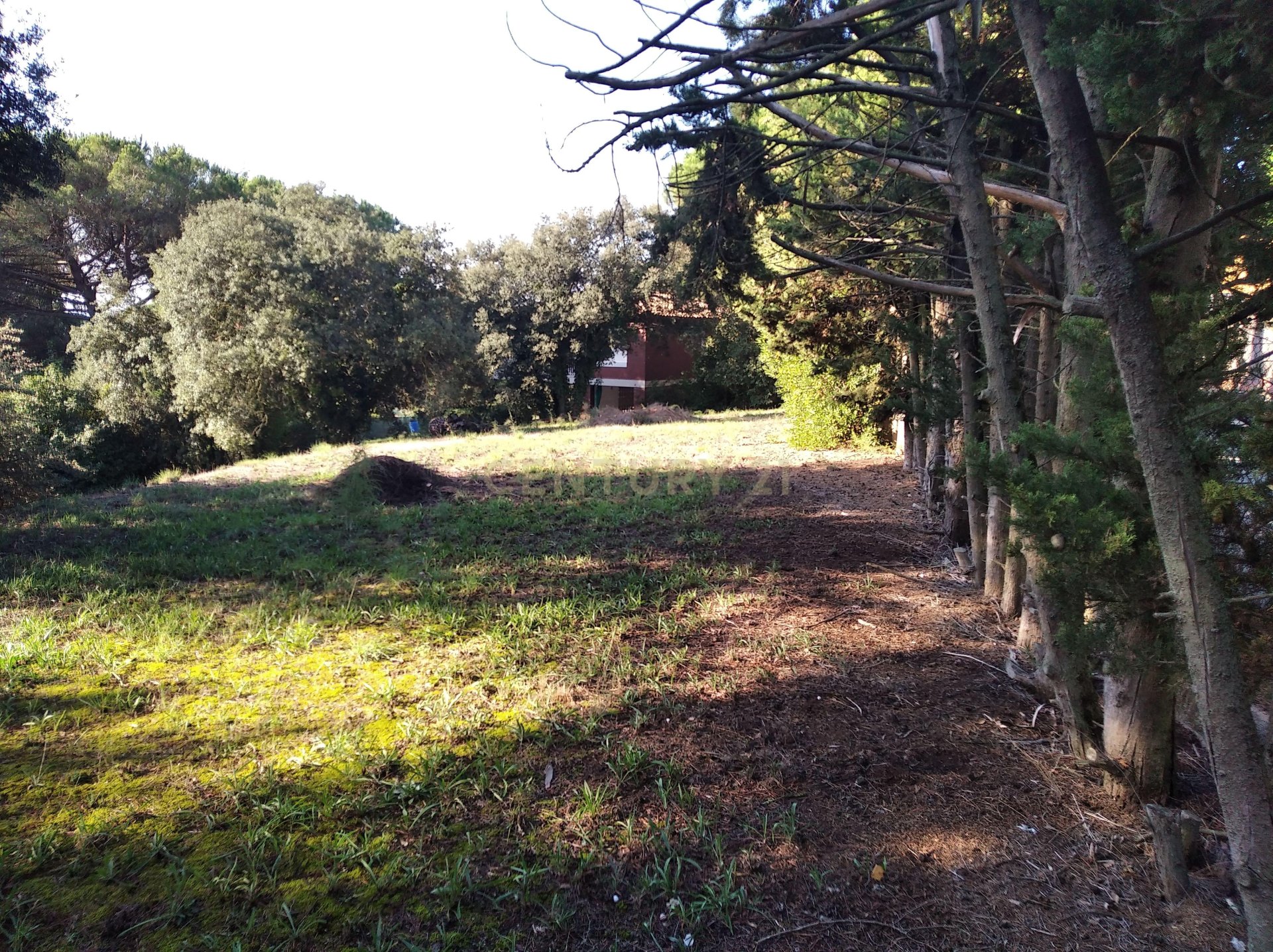Land plot à Sant Antoni de Vilamajor, Barcelona, Espagne No. 167171