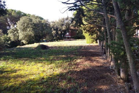 Land plot for sale in Sant Antoni de Vilamajor, Barcelona, Spain No. 167171 - photo 19