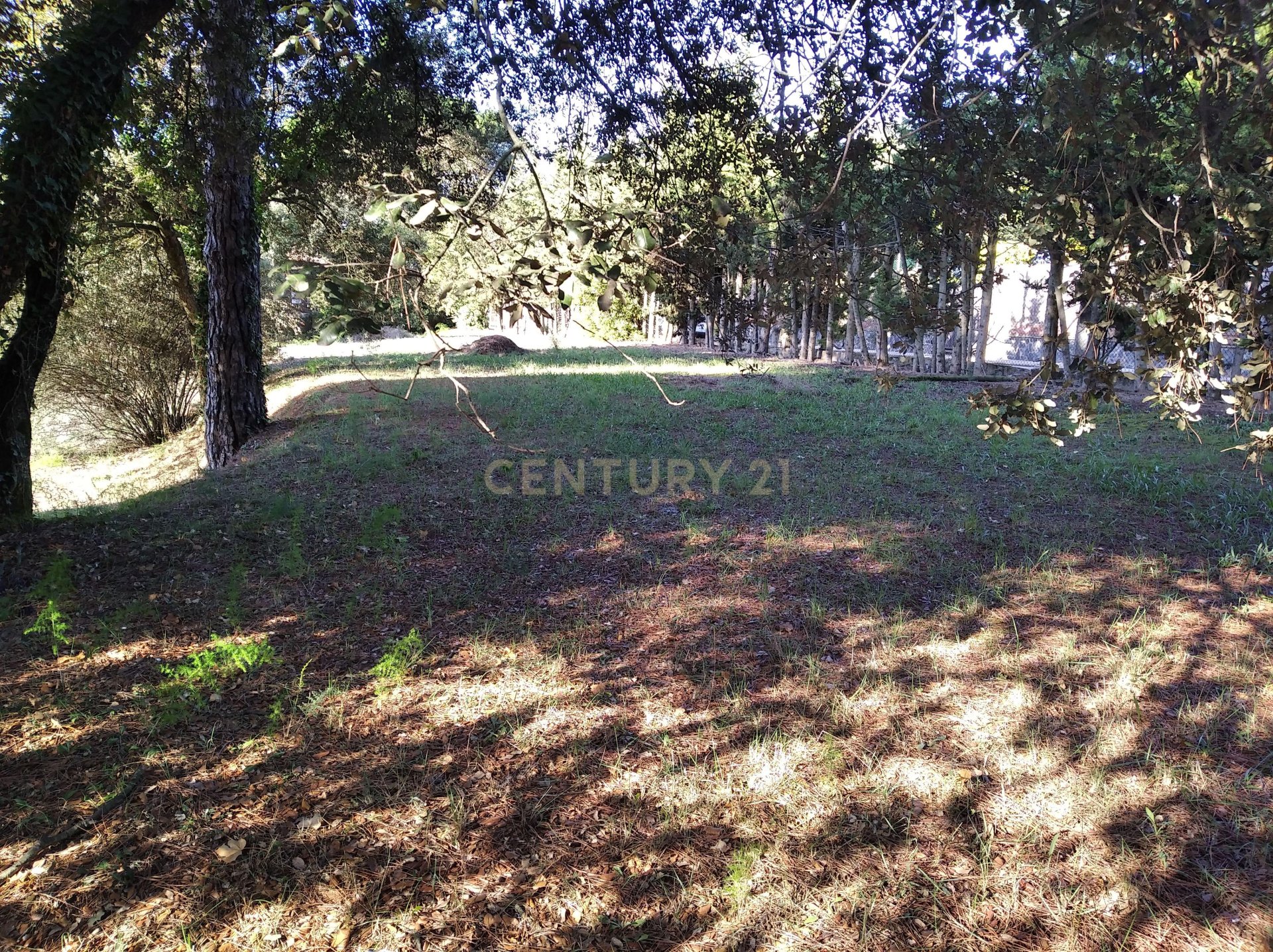 Land plot à Sant Antoni de Vilamajor, Barcelona, Espagne No. 167171