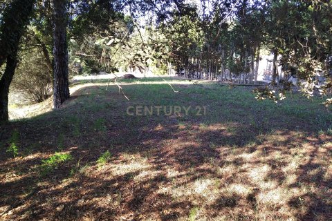 Land plot for sale in Sant Antoni de Vilamajor, Barcelona, Spain No. 167171 - photo 7