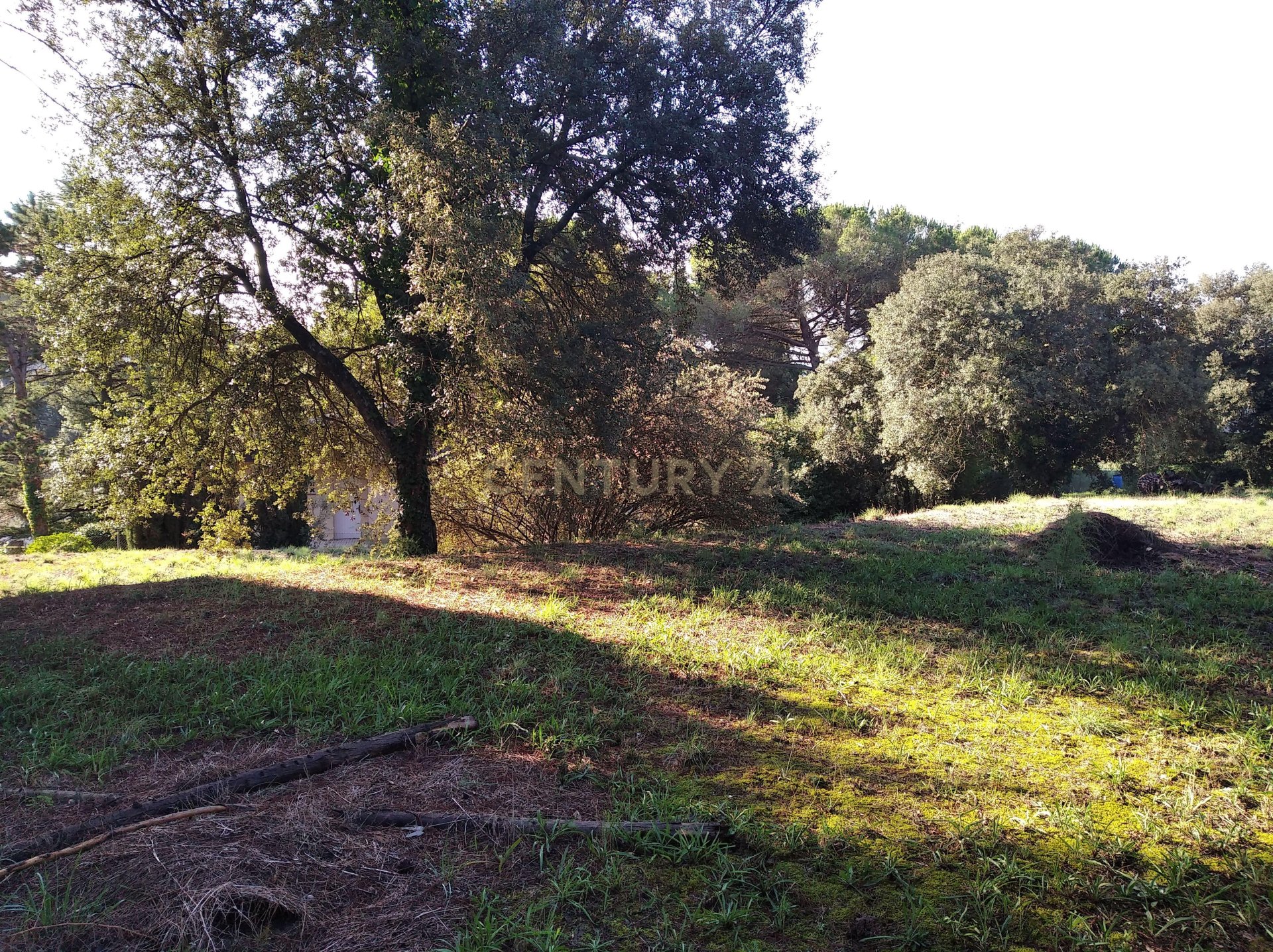 Land plot à Sant Antoni de Vilamajor, Barcelona, Espagne No. 167171