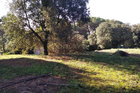 Land plot for sale in Sant Antoni de Vilamajor, Barcelona, Spain No. 167171 - photo 17