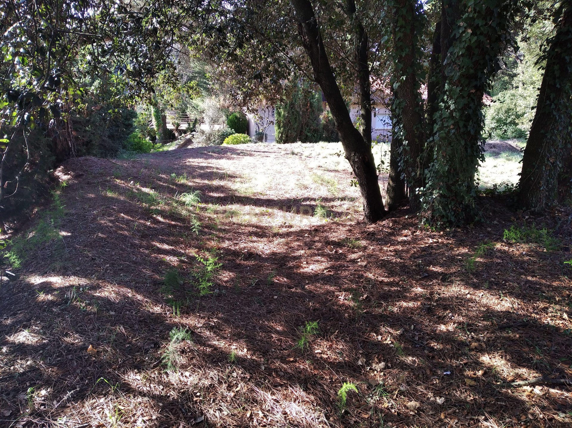 Land plot à Sant Antoni de Vilamajor, Barcelona, Espagne No. 167171