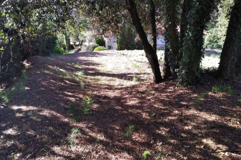 Land plot for sale in Sant Antoni de Vilamajor, Barcelona, Spain No. 167171 - photo 21