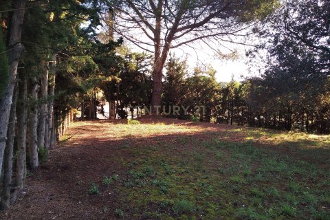 Land plot for sale in Sant Antoni de Vilamajor, Barcelona, Spain No. 167171 - photo 9