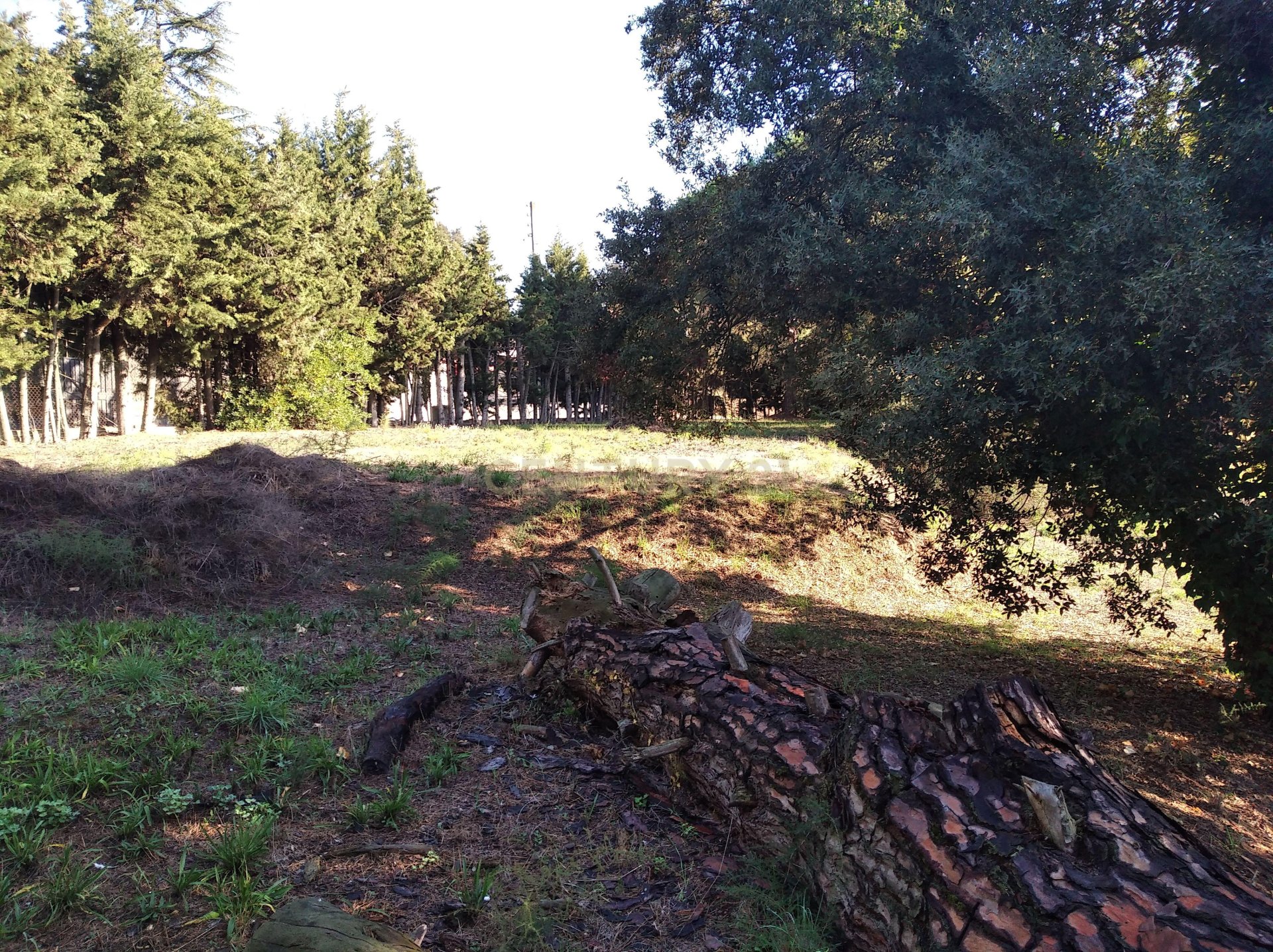 Land plot à Sant Antoni de Vilamajor, Barcelona, Espagne No. 167171