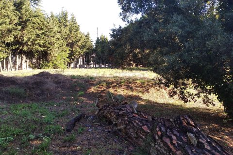 Land plot for sale in Sant Antoni de Vilamajor, Barcelona, Spain No. 167171 - photo 14