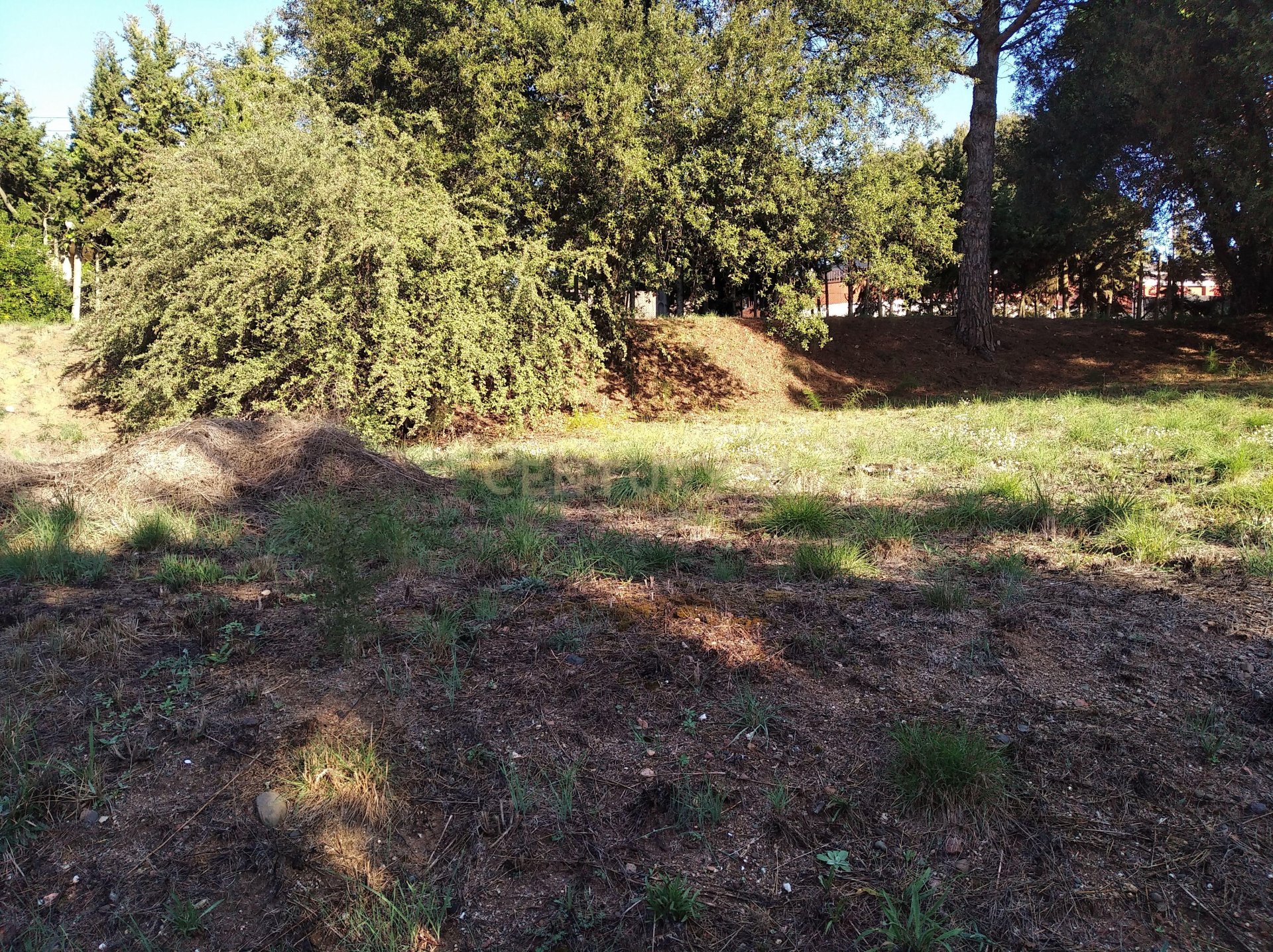 Land plot à Sant Antoni de Vilamajor, Barcelona, Espagne No. 167171