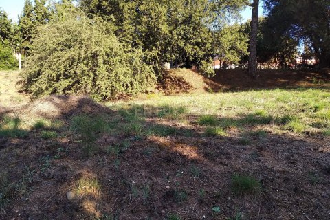 Land plot for sale in Sant Antoni de Vilamajor, Barcelona, Spain No. 167171 - photo 20