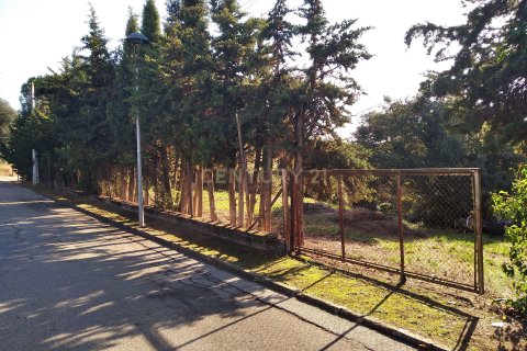 Land plot for sale in Sant Antoni de Vilamajor, Barcelona, Spain No. 167171 - photo 2