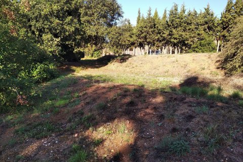Land plot for sale in Sant Antoni de Vilamajor, Barcelona, Spain No. 167171 - photo 23