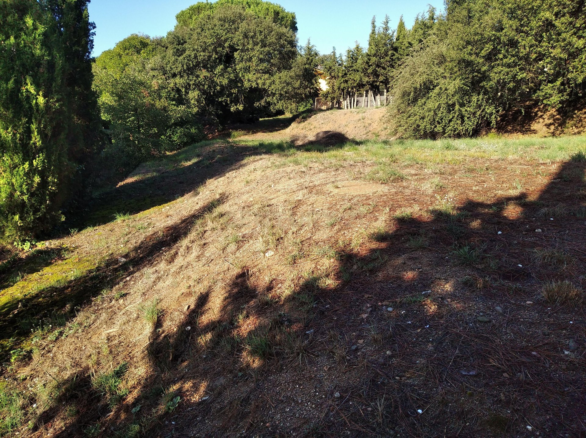 Land plot à Sant Antoni de Vilamajor, Barcelona, Espagne No. 167171