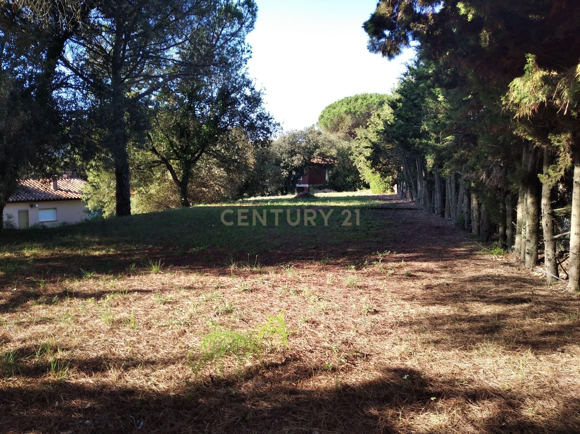 Land plot à Sant Antoni de Vilamajor, Barcelona, Espagne No. 167171